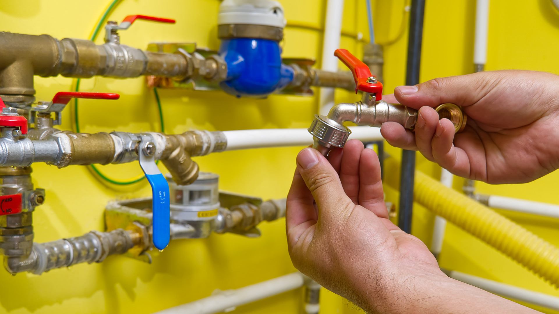 Different Types of Commercial Plumbing Services